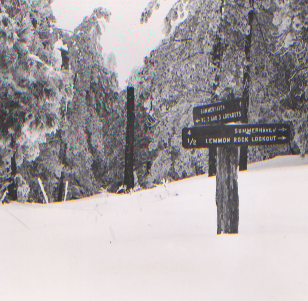 Snow on Mt. Lemmon